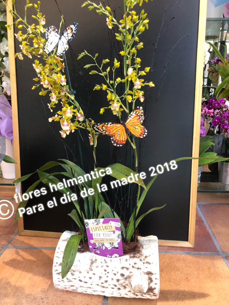 1AD103A1-5360-4287-B3E3-1F8F40A86834