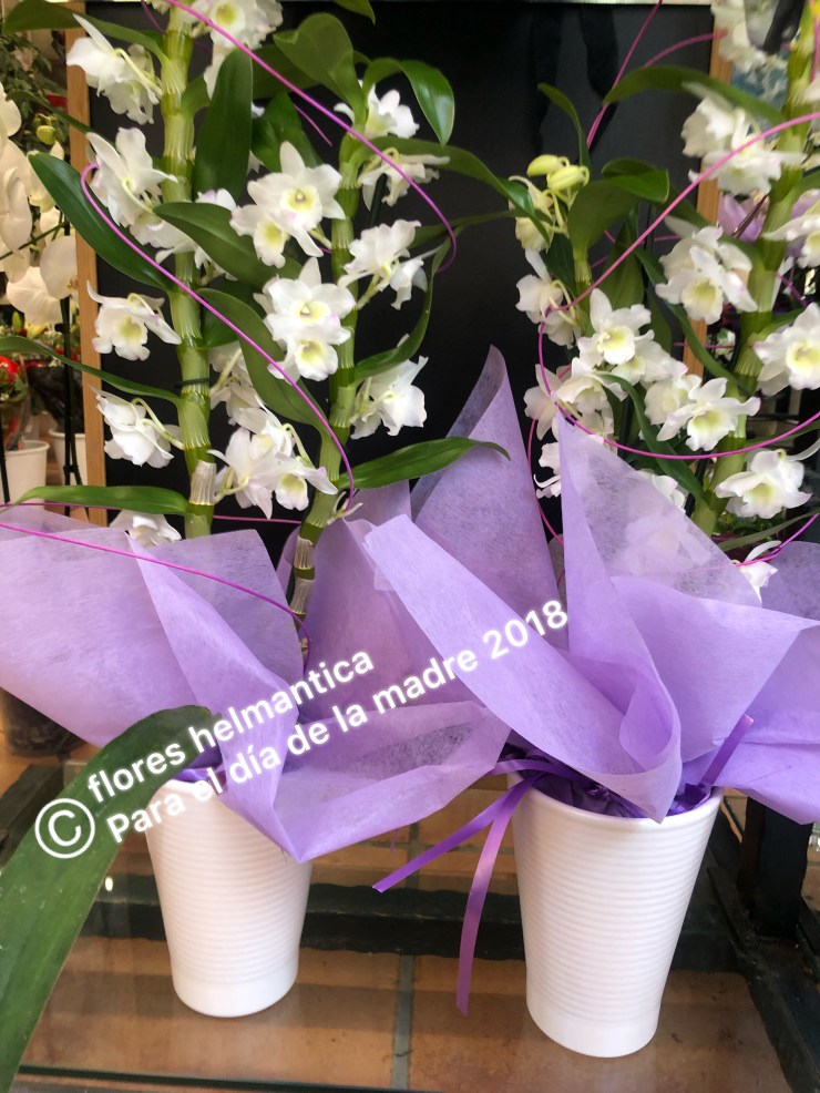 5102956D-AB6D-4225-B72D-707DFB0028ED