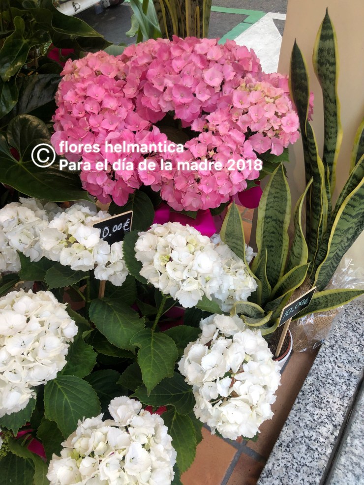 7F7C65AE-84AD-440D-9315-3A922CD09667