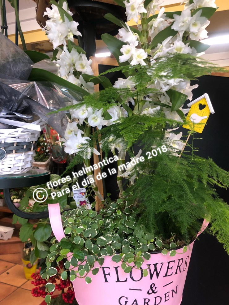 CA26E449-8EC4-4EE0-9543-90C4F2879F9C