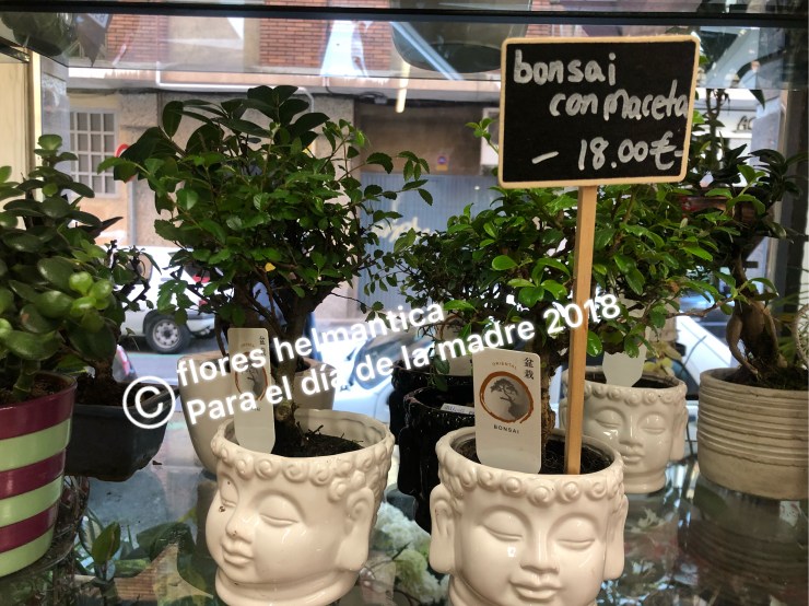 FE1BBB02-D707-49E7-9CBE-A236EDD816DF