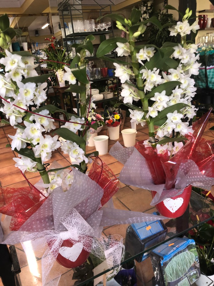 8DB1C02E-94F7-4BA0-9761-6B9EF9F77C87