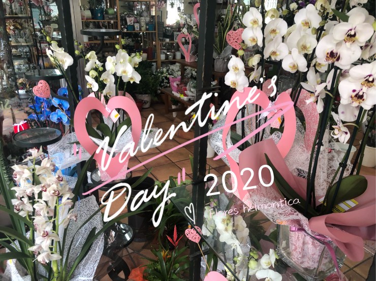 20770170-ED5C-46AF-8877-39148766AD05