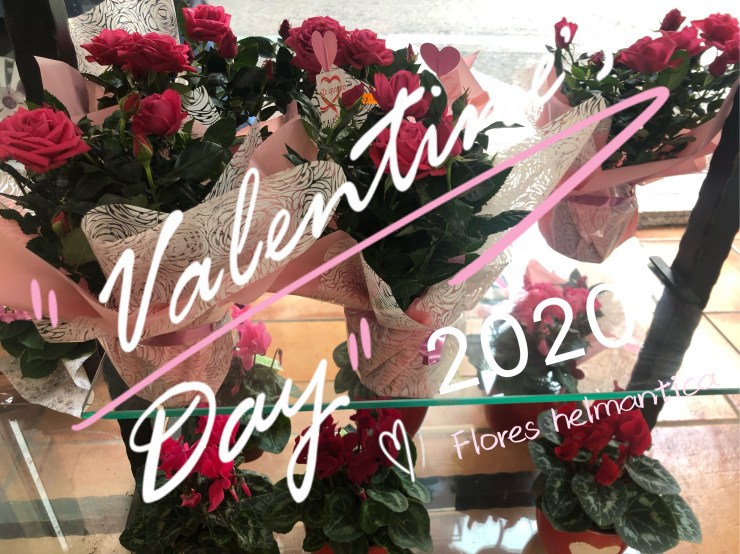 E49DFA46-B406-4DBF-B42F-B6AA4D6E0C79